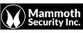 Mammoth Security Inc. New Britain